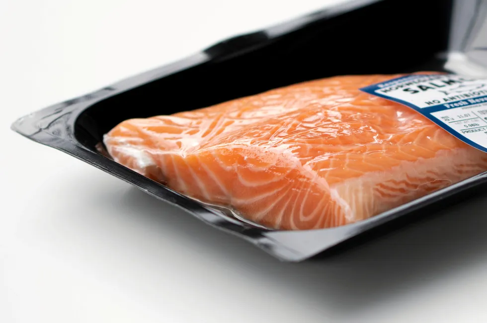 Closeup of fresh farmed Atlantic salmon fillet in orange color with clear white veins in a vacuum sealed plastic container isolated on a white background. . salmon.