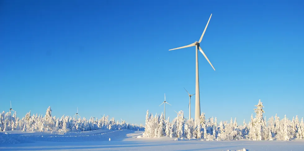 Vindkraftanlegget Markbygden i Norrbotten i Nord-Sverige er det største i sitt slag i Europa. Ett av selskapene som er involvert i anlegget, «Markbygden Ett», prøver nå å gå konkurs og rekonstruere selskapet.