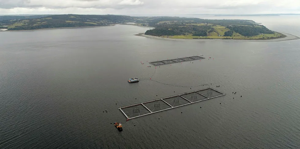 Lokaliteten Punta Redonda ved øya Isla Huar i det store fjordbassenget Seno Reloncaví. Avstanden til laksehovedstaden Puerto Montt er drøyt to mil i luftlinje.