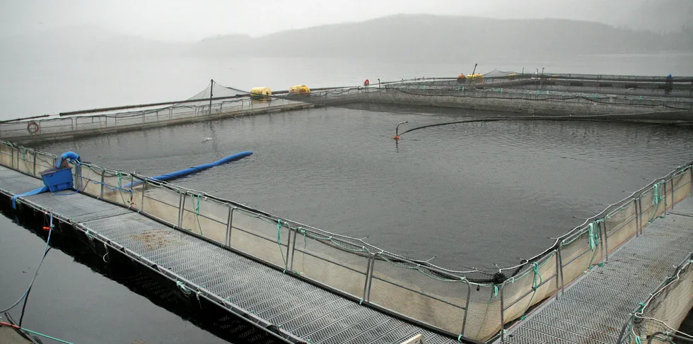Marine Harvest will be closing some Broughton sites following agreement with First Nations.