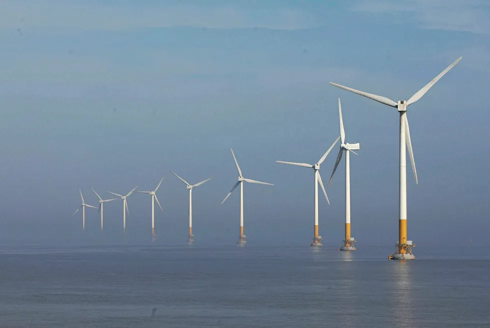 Powering up: offshore wind turbines near Shanghai