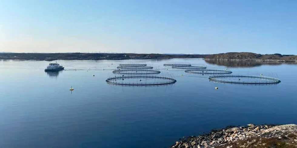 Det er en økende interesse for oppdrett av torsk. Forvaltningen og forskningen søker mer kunnskap om hvordan det påvirker villtorsk og økosystemet.