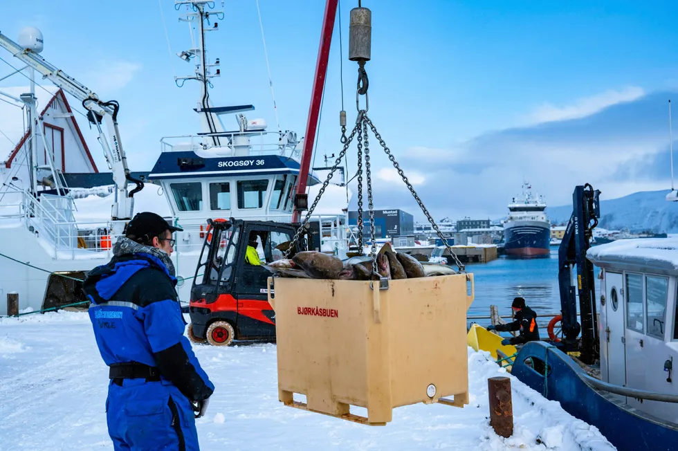 Båtsfjordfiskere vil jekke opp torskebonusen i ferskfiskordninga.