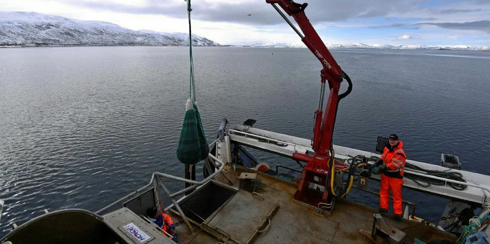 FORSKNING: Forskere fra Havforskningsinstituttet skaffer seg kunnskap om reke- og bunnfiskbestandene i Tanafjorden og Porsangerfjorden i Finnmark.