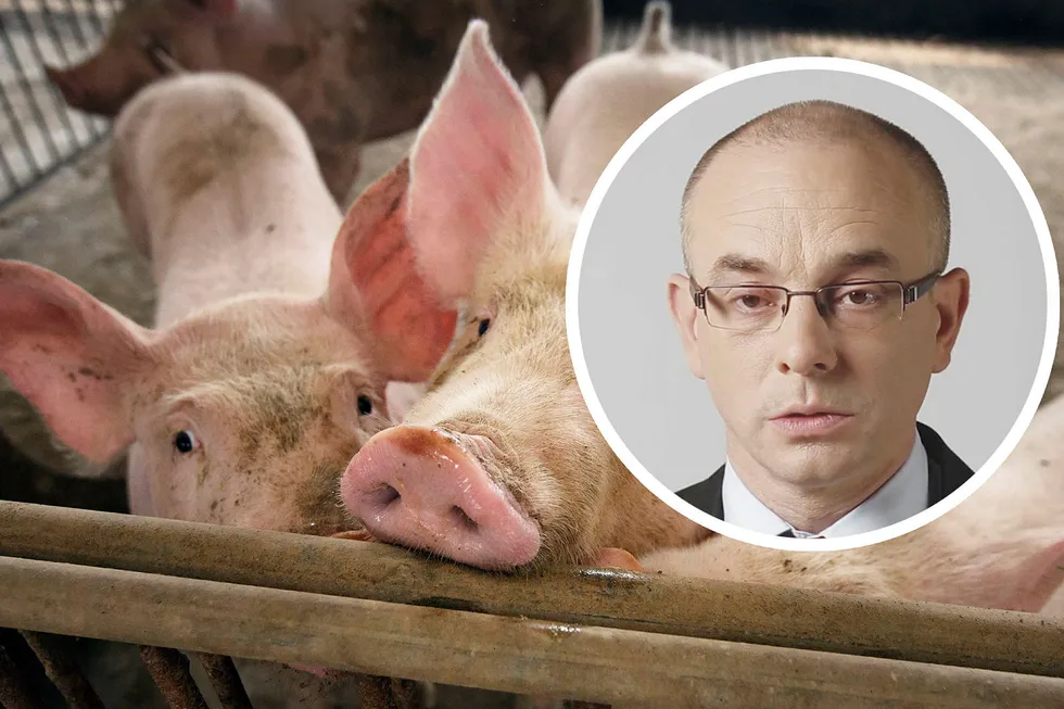 Sjeføkonom Paul DonovanIn i UBS er permittert etter en uheldig uttalelse om griser som oppfattes grovt krenkende av kinesere.