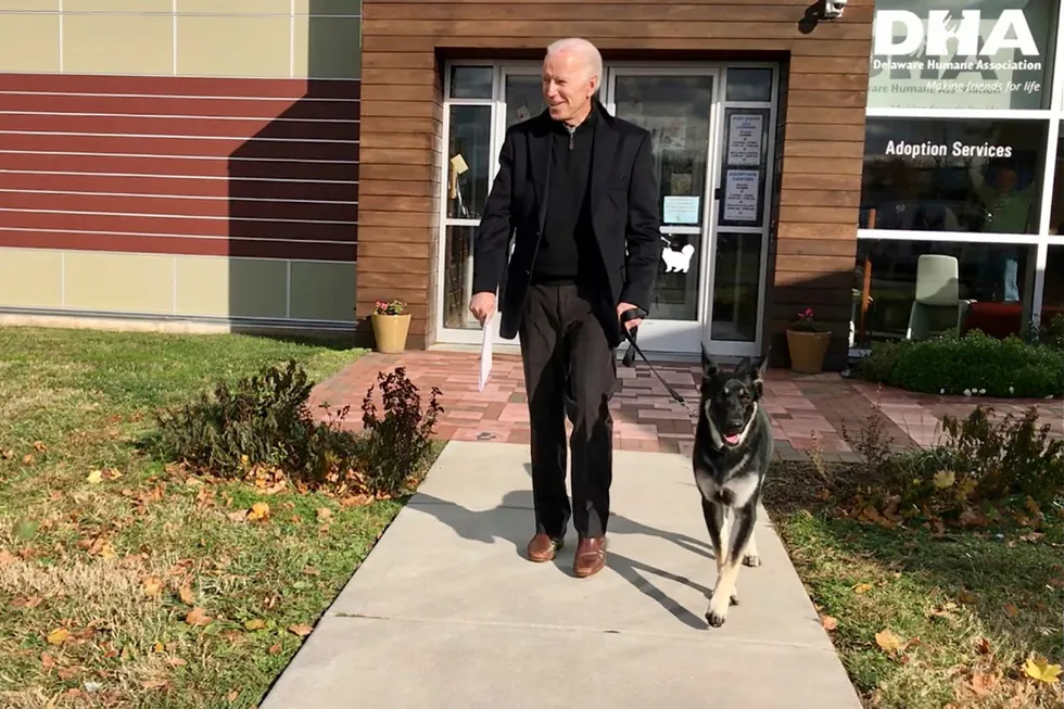 Påtroppende president Joe Biden adopterte hunden sin fra Delaware Humane Association i Wilmington.
