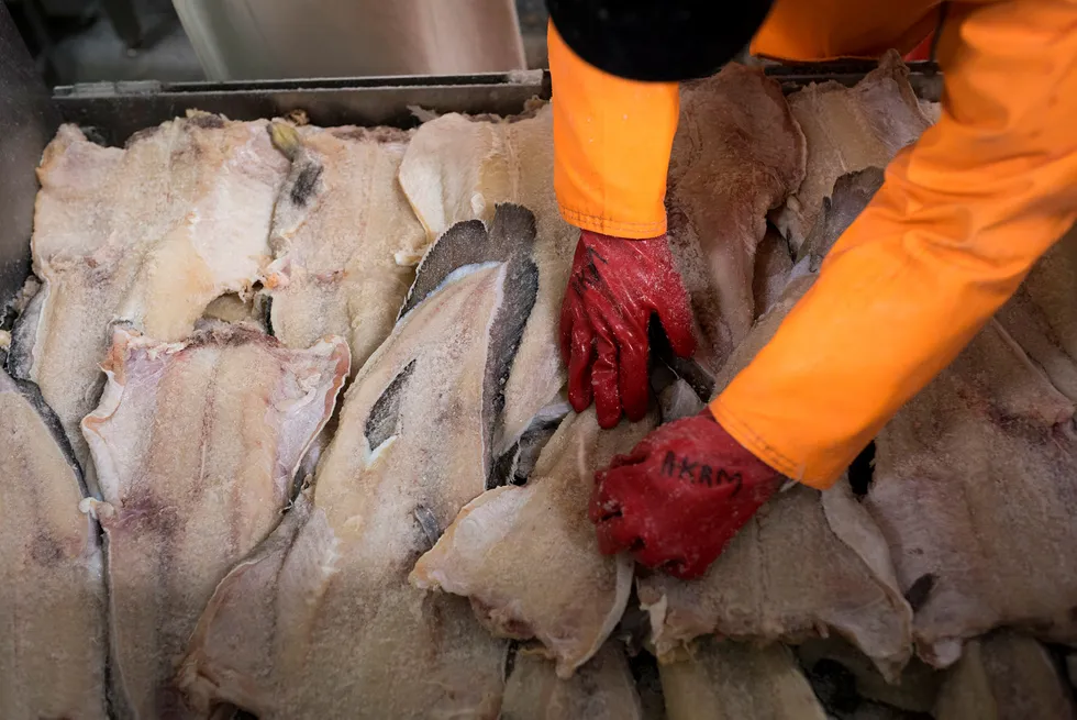 Det ble satt rekord i eksport av klippfisk i 2018. Her sorteres klippfisk på fiskebruket Jangaard Export.