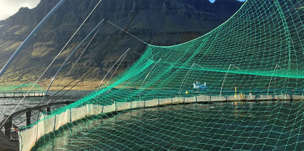 Ice Fish Farm driver lakseoppdrett nordøst på Island.