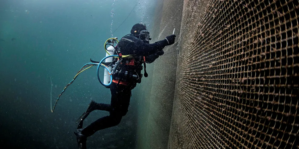 Mowi har fått 6 millioner kroner i støtte til et prosjekt på overvåkning og deteksjon av hull i nøter for fiskeoppdrett.