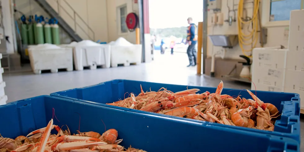 Havsrå solgte fersk fisk, skalldyr og annen sjømat til restauranter og storkjøkken.