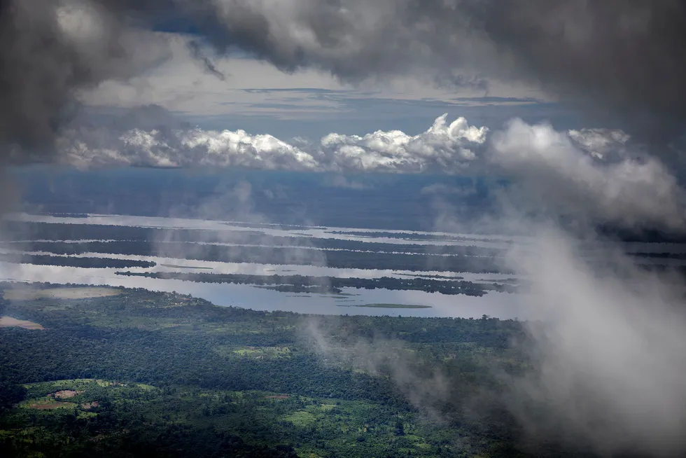 Fra regnskogen i Kongobassenget. Foto: Linda Næsfeldt