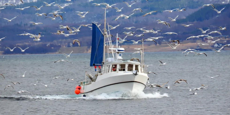 Sporing og rapportering blir obligatorisk for selv den minste fiskebåt hvis dagens krav blir stående uendret.