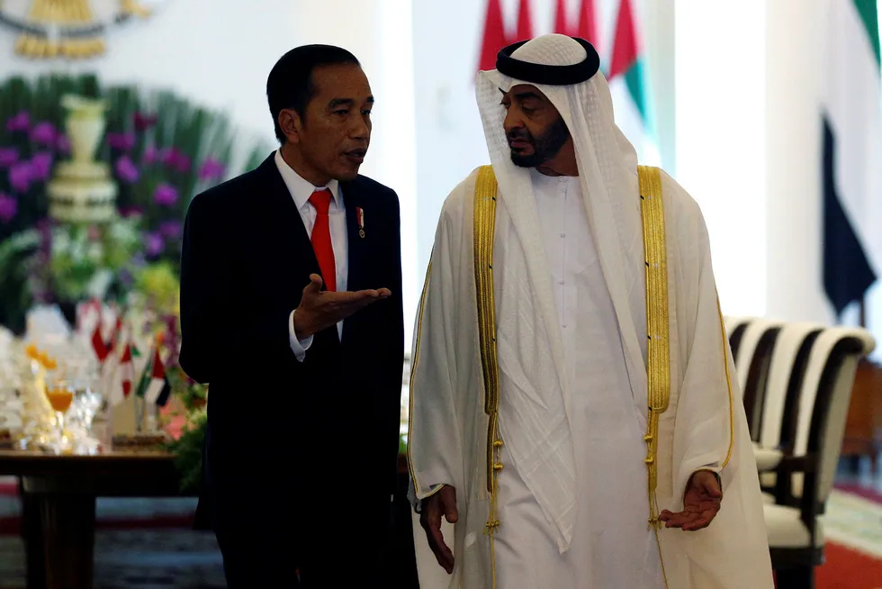 Cooperation: Indonesia's President Joko Widodo talks to Abu Dhabi's Crown Prince Mohammed bin Zayed Al Nahyan