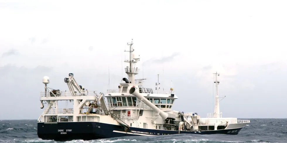 Ringnotbåten "Endre Dyrøy" får gå til Jan Mayen og fiske deler av forskningskvota på 2000 tonn lodde. Arkivfoto: Rune Kvamme