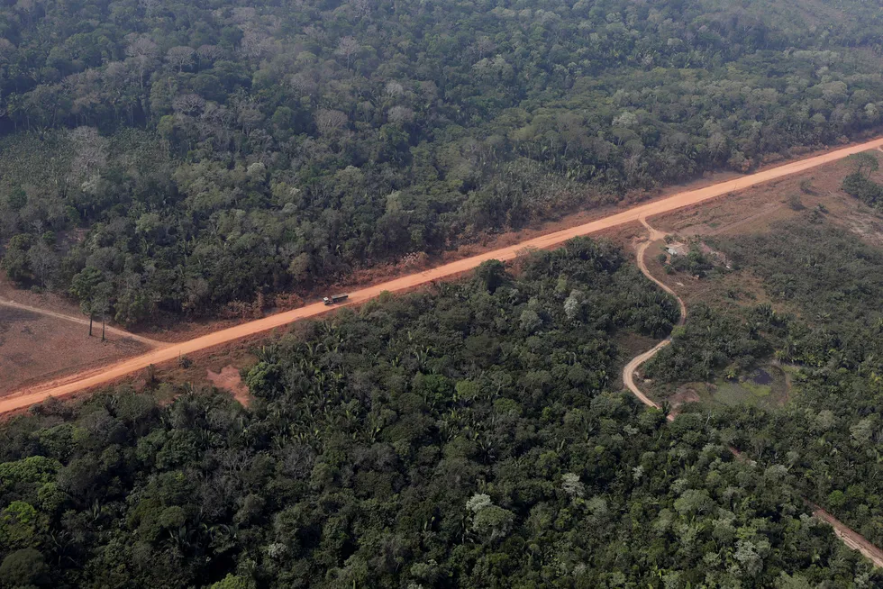 Det står dårligere til med gjenværende regnskog i verden enn tidligere antatt.