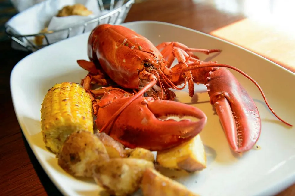 Maine's lobster industry: Nothing handed to it on a plate.