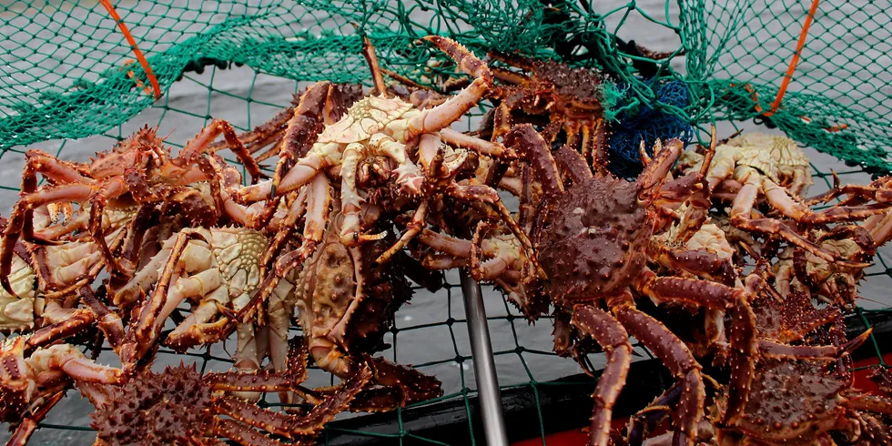 Russian Crab Group is still seeing strength in the China market, but testing the waters in Europe.