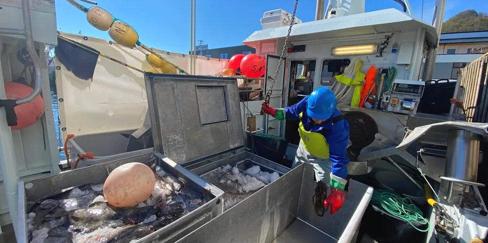 Første periode i årets blåkveitefiske nærmer seg slutten. Her er sjarken «Sjøtind» i levering på Myre i Vesterålen tidligere i juni.