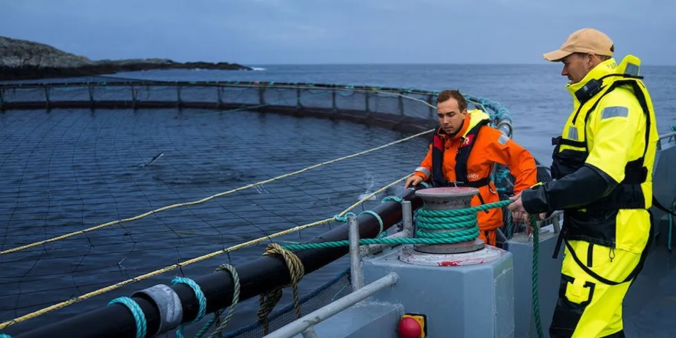 Oppdrett på kysten. Foto: Stian Holmen Lein, Bjørøya Fiskeoppdrett AS