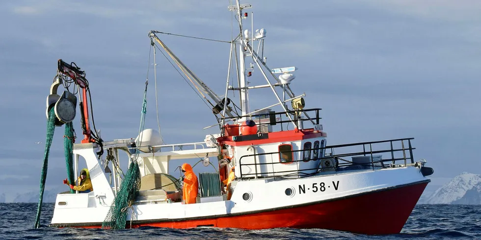 INNENFOR: «Nikita» fra Svolvær er med sin bredde på 4.12 meter trygt innenfor fjordlinjebestemmelsene. Båten på 10,6 meter fra 1975 er her fotografert under snurrevadfiske på Lofothavet.