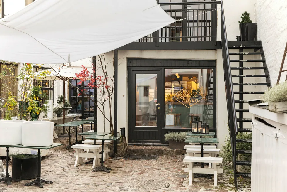 Nyoppussede Kolonihagen Frogner deler en hyggelig, frodig bakgård med en blomsterbutikk.