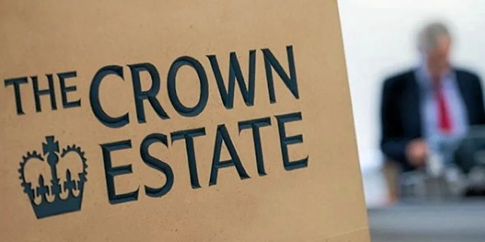 The Crown Estate awards offshore wind leases.