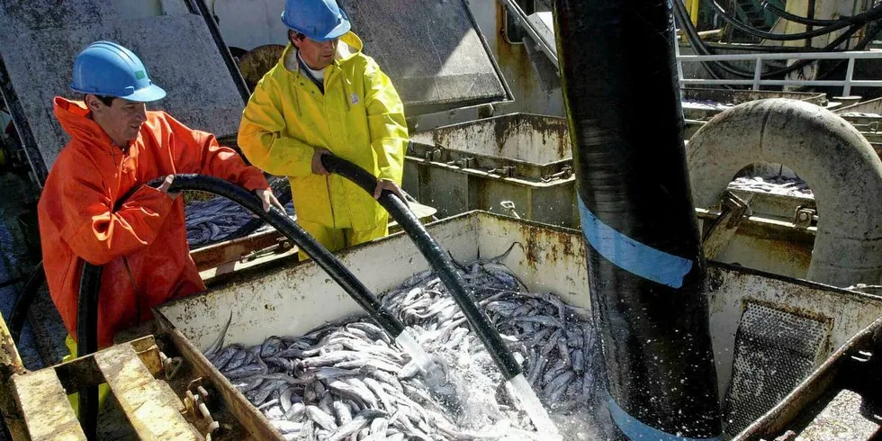 Sjømat Norge har brutt avtalen med Sildelaget om levering av fisk til mel og olje.Foto: Per Ståle Bugjerde/DN