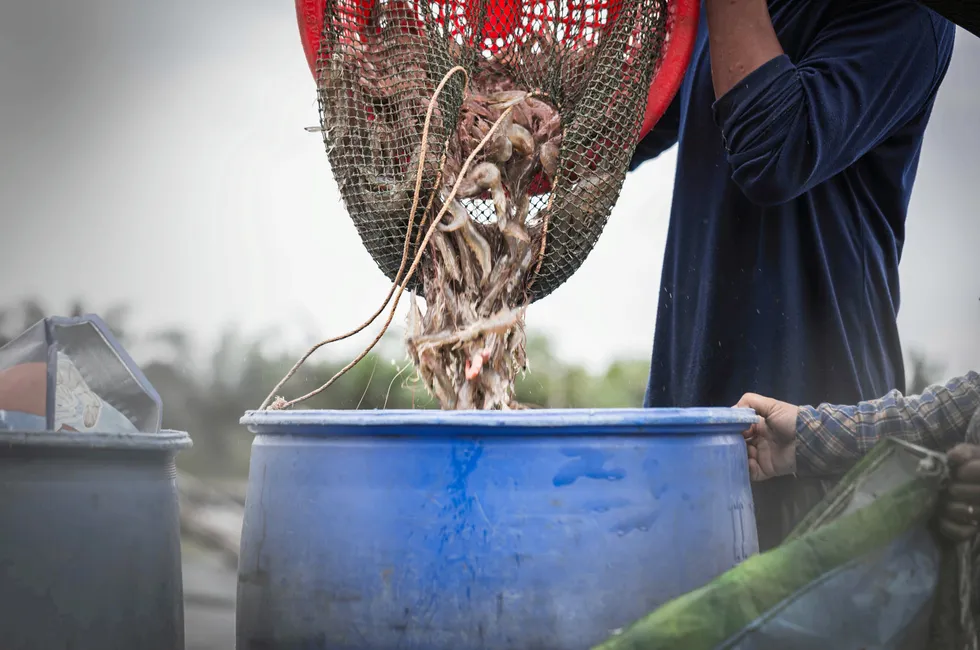 The US government has added shrimp from India to a list of products suspected to be produced by forced labor.