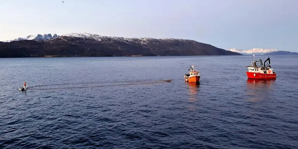 Her fra sildefiske for de minste i Kvænangen i fjor. Bildet er tatt fra «Svanaug Elise», som var føringsbåt for låssettere på feltet.