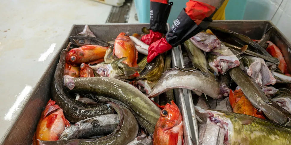 Norges Kystfiskarlaget er sterkt kritisk til bifangstprosenten av brosme, foreslått av direktoratet. Nå mener de også kvotefordelingen mellom hav og kyst er skjev.