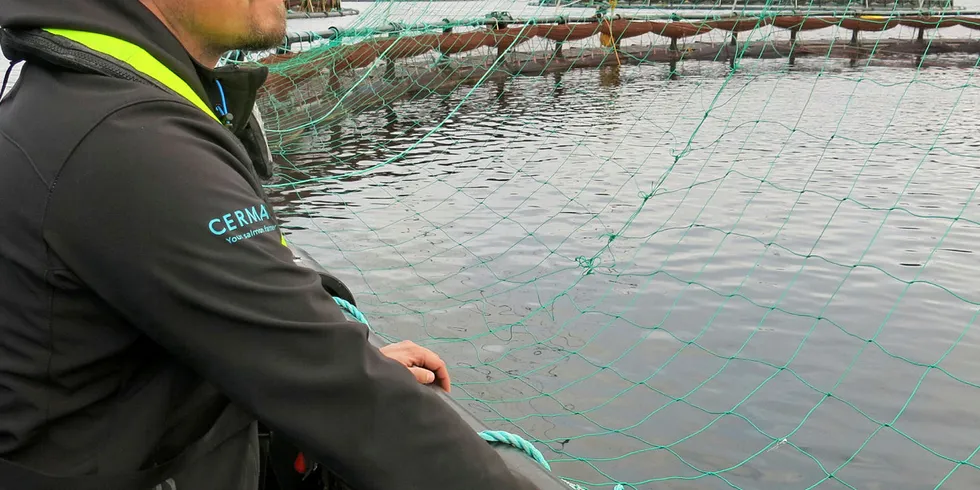 NORMALT SÅ LANGT: Driftsleder Tor Espen Olaussen i Cermaq skuer ut over lakselokaliteten Olderfjord i Vargsund i Hammerfest kommune.