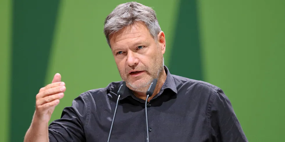 German economics and climate minister Robert Habeck.