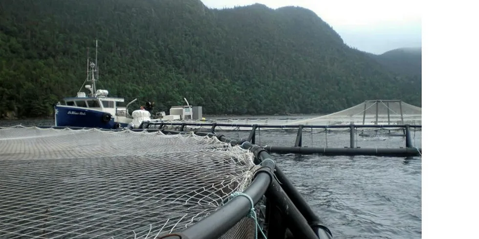 Northern Harvest Sea Farms har tidligere fått flere lisenser inndratt på grunn av massedød.