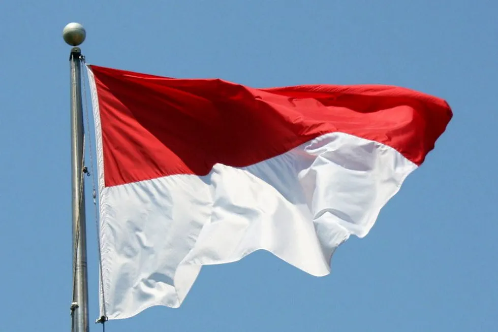 The flag: of Indonesia