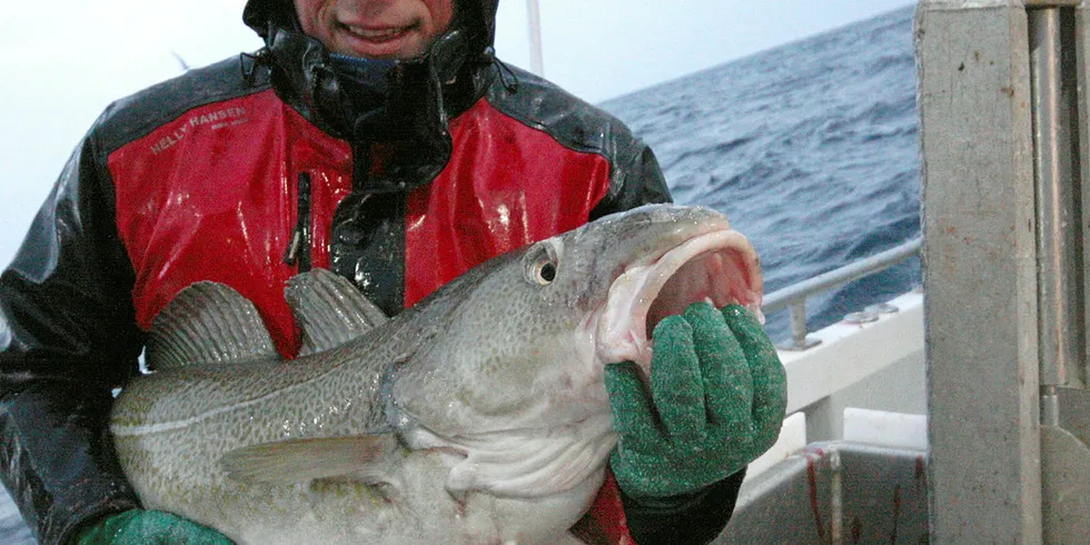 GODE FORHOLD NÅ: Sjarkfisker Jens-Einar Bjørkås Johnsen fra Båtsfjord sier at det har blitt nye landligge denne sesongen på grunn av dårlig vær, men at forholdene nå er optimale.