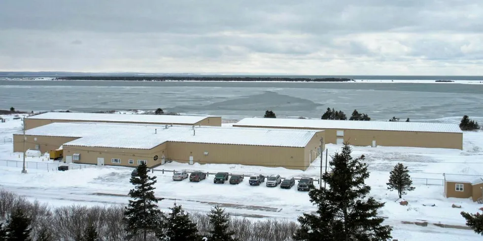 Settefiskanlegget tilhører Mowis enhet Northern Harvest i Øst-Canada.