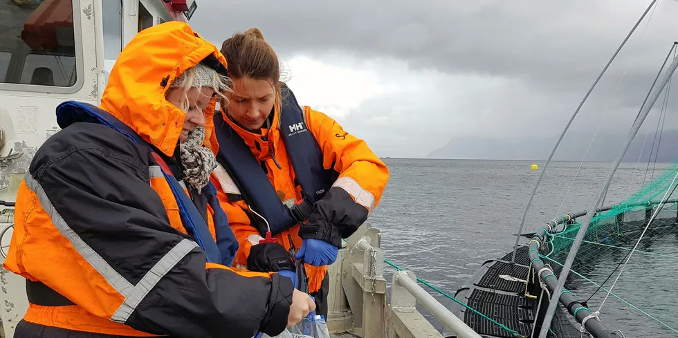 Fagsjef miljø og helse, Karoline Skaar Amthor (t.h.), i Sjømat Norge. På bildet står hun sammen med Camilla Skagen Sandvik i Previwo.