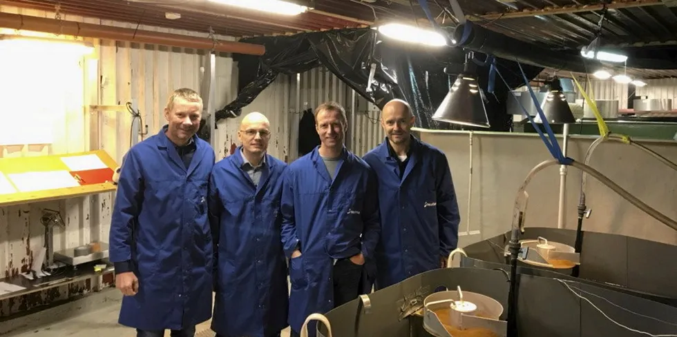 Styret i Driva Aquaculture: Bjørn Hembre (t.v.), Vidar Lund, Olav Skjøtskift og Stein Kjartan Vik