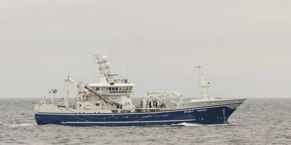 "Fiskebas". Arkivfoto: Eivind Sævik