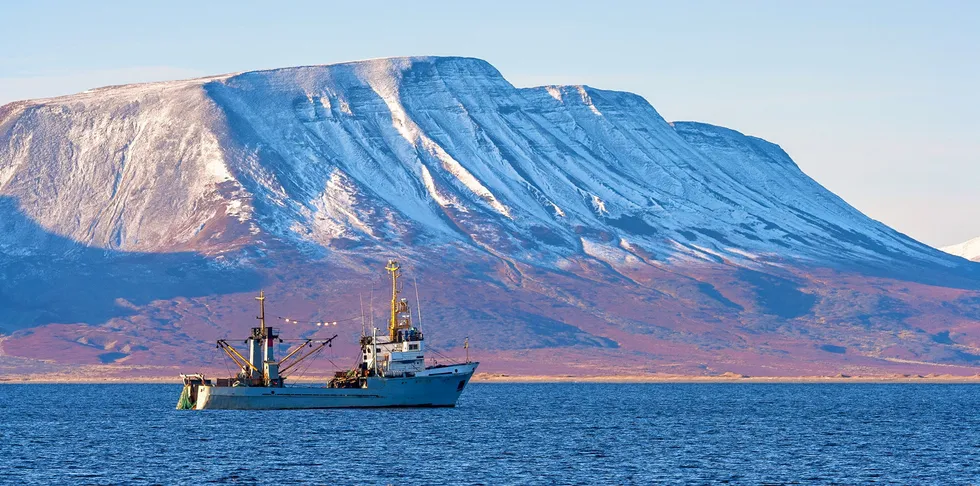 According to the general director of Russia's Union of Fishermen of the North, Konstantin Drevetnyak, in recent years fishing vessels from the United Kingdom have not been operating in the Barents Sea.