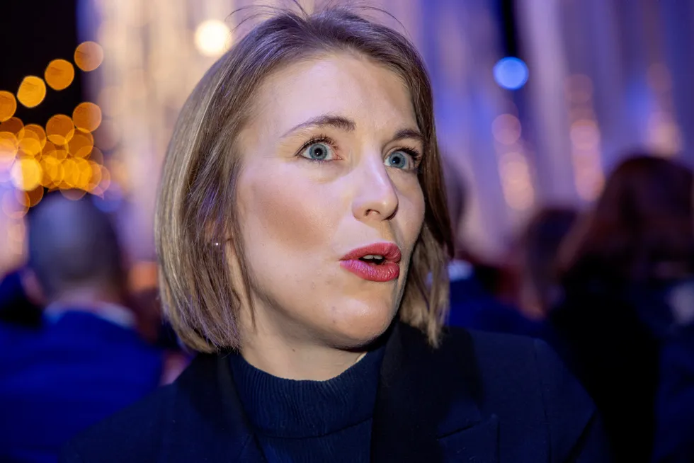 Kari Elisabeth Kaski leter etter SV-politikk i Høyres partiprogram, ifølge skribenten.