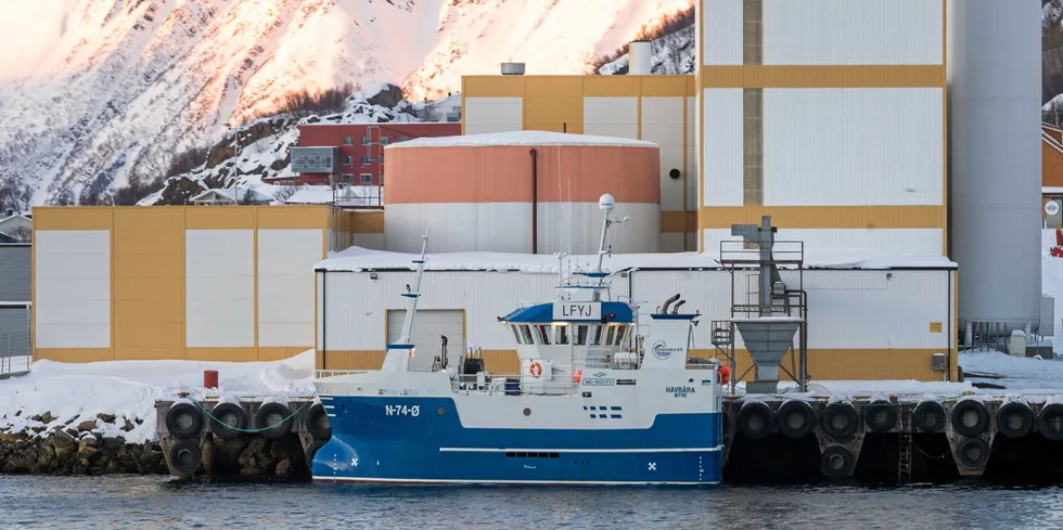 Havbåra fra Myre fisker på Breivikfjorden, men velger å levere fangsten i Øksfjord fordi det er så lang kø på mottaket Nergård i Breivikbotn.