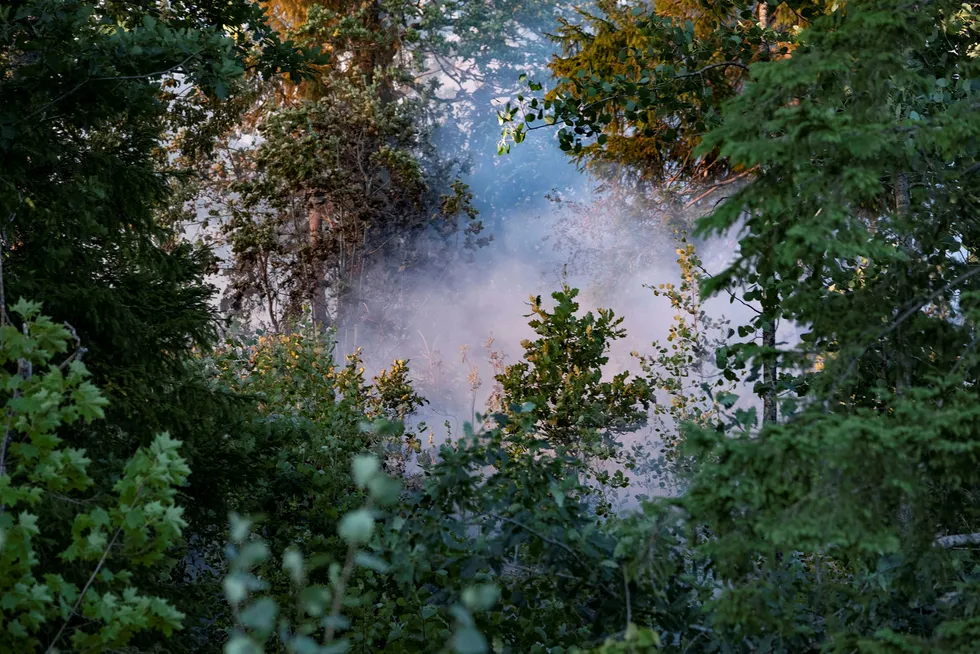 Det var skogbrann på Vindlandsheia mellom Birkeland og Grimstad torsdag kveld. Brannmannskapet og Sivilforsvaret fikk assistanse fra brannhelikopter. Foto: Tor Erik Schrøder / NTB Scanpix