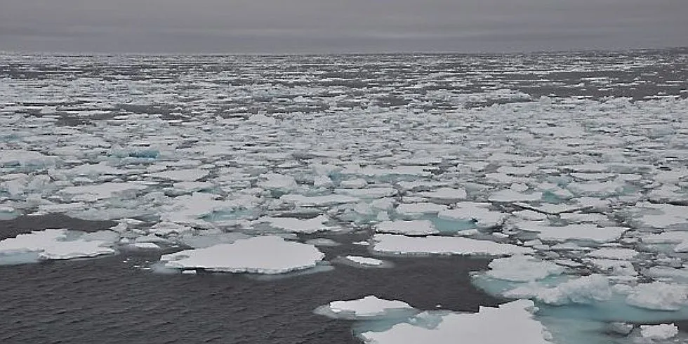 Oljeboomen i Arktis utsettes fordi nye produksjonsmetoder gjør det billigere å utvikle felt andre steder i verden. Det hevder forskere fra flere land. Utviklinga i Nord-Norge vil også bli berørt av dette, men ikke så mye som i andre land i Arktis. Illustrasjonsfoto: Mia Kanstad Kulseng