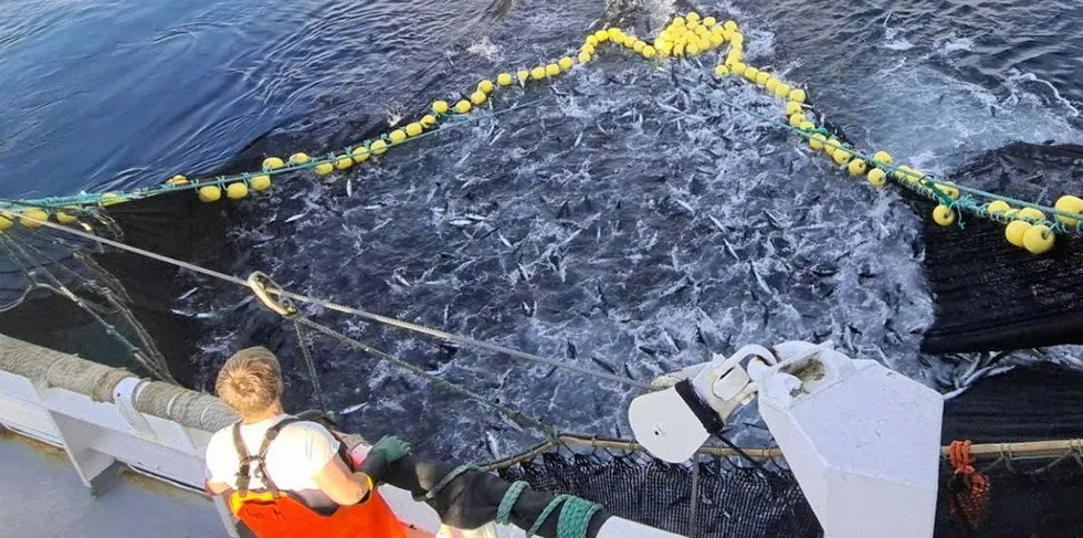 Kyststatenes representanter har møttes gjentatte ganger de siste månedene angående makrellfiskeriet, men uten å oppnå noen form for enighet. Bildet er av not- og snurrevadbåten «Arnøyfjord».