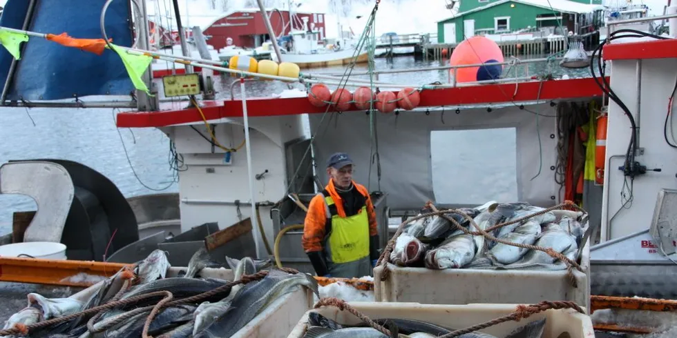 Hvorfor regnes ikke fisk med når det snakkes om Norges selvforsyningsgrad? spør vi på lederplass. (Ill.foto)