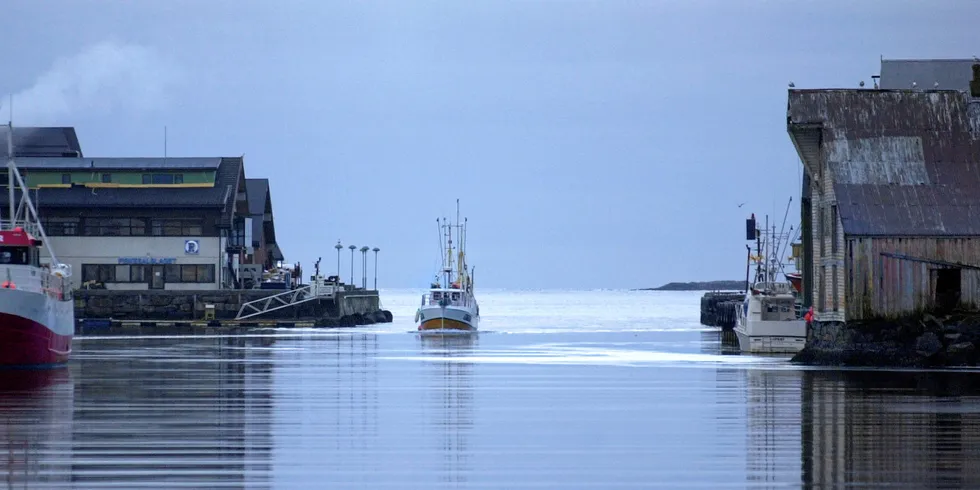 Selskapet driver kjøp og salg av fisk i Fosnavåg. Her Fosnavåg havn.