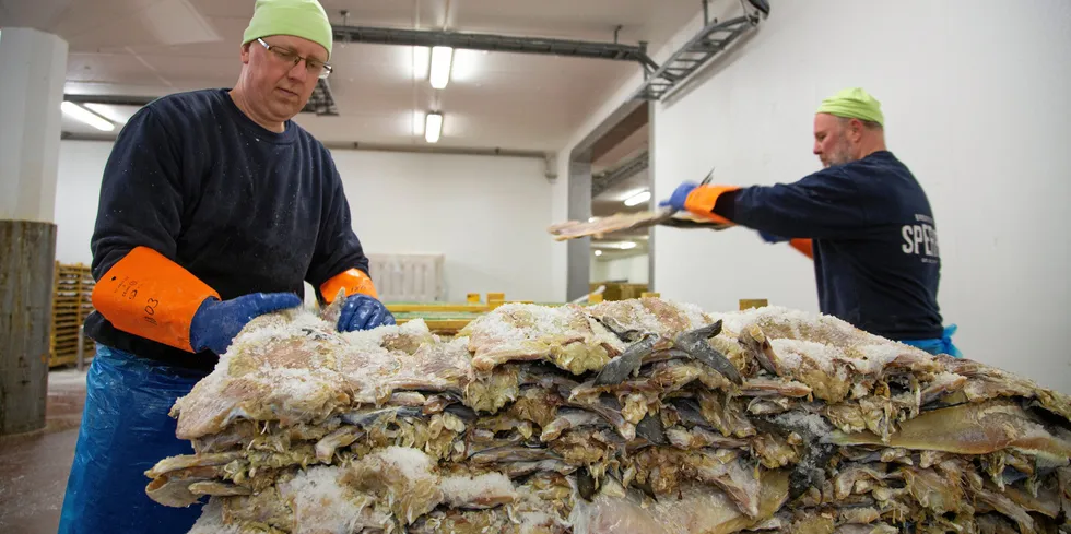 Produksjon av klippfisk hos Brødrene Sperre i Ålesund. Mer av fisken må bearbeides hjemme, slik at fisken skaper merverdier for nasjonen, mener Fiskeribladet. Derfor kan vi ikke se på flåte og industri som to separate deler av næringen.