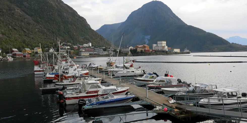 Fiskebåter i Loppa der nytt fiskeriselskap er startet.