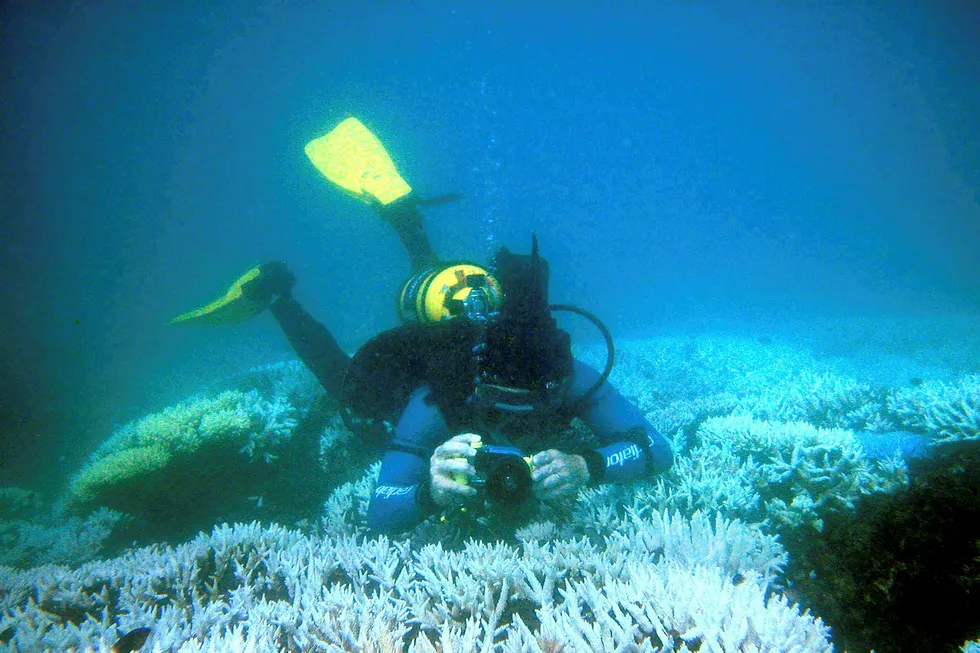 Korallrevet Great Barrier Reef er større enn Italia og har enorm verdi. Nå er revet rammet av «hetebølge» for andre år på rad. Foto: Ove Hoegh-Guidberg/AFP photo/NTB scanpix